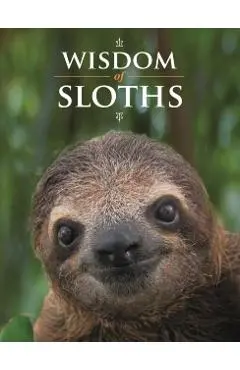 Wisdom of Sloths - Lisa Purcell