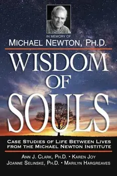 Wisdom of Souls: Case Studies of Life Between Lives from the Michael Newton Institute, Paperback/The Newton Institute
