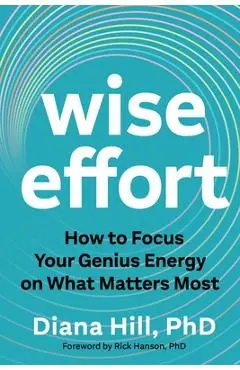 Wise Effort: How to Focus Your Genius Energy on What Matters Most - Diana Hill