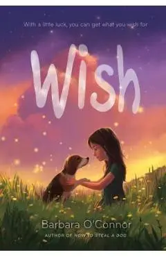 Wish - Barbara O'connor