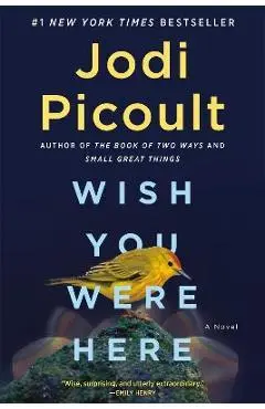 Wish You Were Here - Jodi Picoult