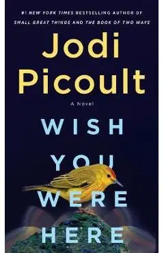 Wish You Were Here - Jodi Picoult