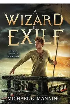 Wizard in Exile - Michael G. Manning