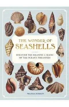 Wonder of Seashells - Melissa Hobson