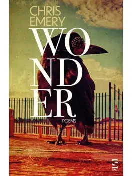 Wonder, Paperback/Chris Emery