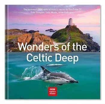 Wonders of the Celtic Deep, Hardback/Anne Gallagher