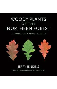 Woody Plants of the Northern Forest: A Photographic Guide - Jerry Jenkins