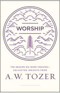 Worship: The Reason We Were Created-Collected Insights from A. W. Tozer - A. W. Tozer