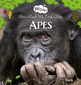 Wow! Apes. How Much We Look Alike, Hardback/Mack van Gageldonk