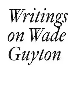 Writings on Wade Guyton, Paperback/Wade Guyton