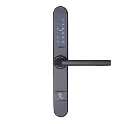 Yala smart PARIS TITAN cu Bluetooth, WiFi, PIN, RFID si cheie incuietoare inteligenta pentru cazari, birouri si locuinte moderne, SMP-PARIS-1TT-TI