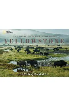 Yellowstone: A Journey Through America's Wild Heart - David Quammen