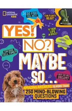 Yes! No? Maybe So...: Amazing Answers to More Than 250 Mind-Blowing Questions - Julie Beer