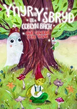 Ynyr yr Ysbryd a'r Coblyn Bach, Paperback/Rhian Cadwaladr