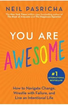You Are Awesome - Neil Pasricha