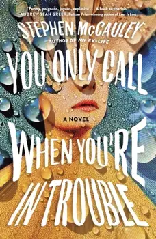 You Only Call When You're in Trouble, Paperback/Stephen McCauley