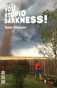 You Stupid Darkness!, Paperback/Sam Steiner