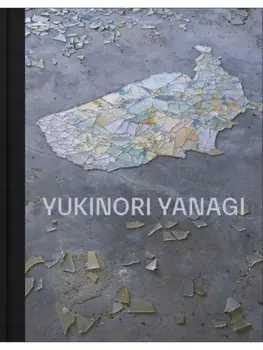 Yukinori Yanagi, Hardback/***