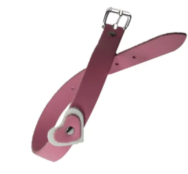 Zgarda Caine Streetside Inima 2.0/45 cm Roz Nr 2