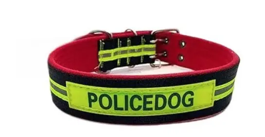 Zgarda (curea) pentru caini 60 cm fluorescenta POLICE DOG