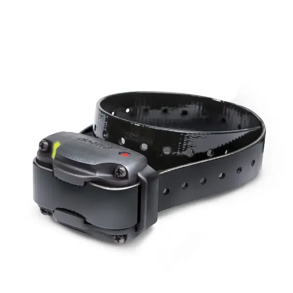 Zgarda Dogtra electronica falsa (1210, 3500)