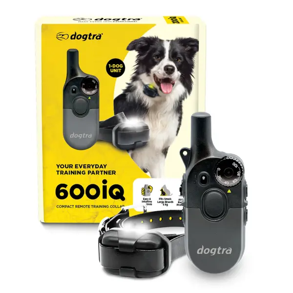 Zgarda electronica 600IQ - 1 câine