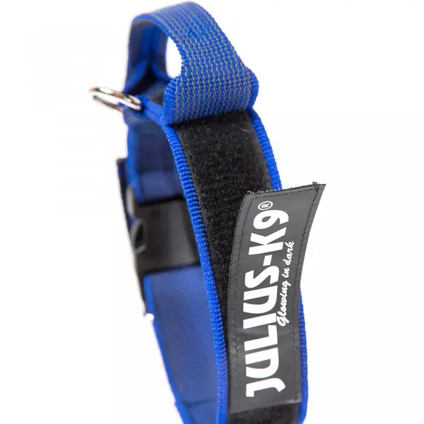 Zgarda Julius-K9, cu maner, nylon - 50mm Albastru