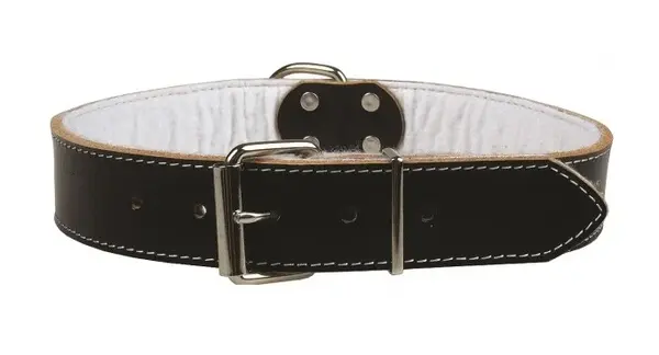 Zgarda pentru caini Pet Expert, marime XL, 4 x 75 cm, piele, negru