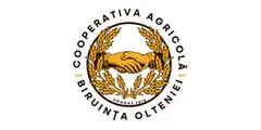 biruintaolteniei.ro